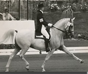 Dressage Rider Dorothy Morkis